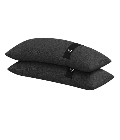 Baser Original Fillable Weight Bags